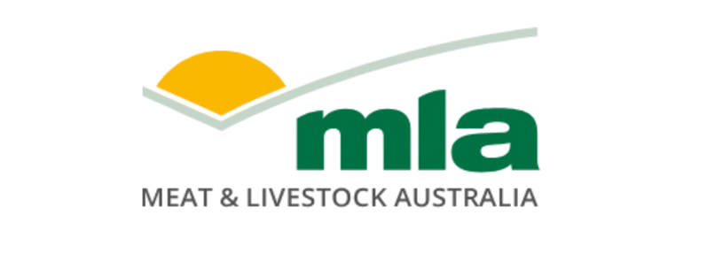 Mla